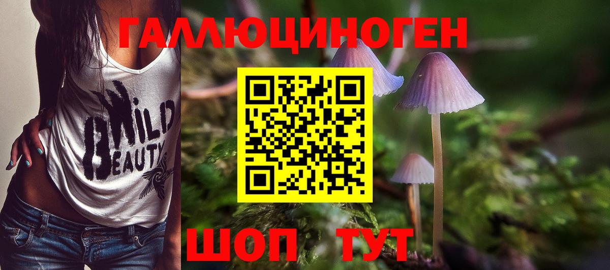 Галлюциногенные грибы GOLDEN TEACHER Новотроицк