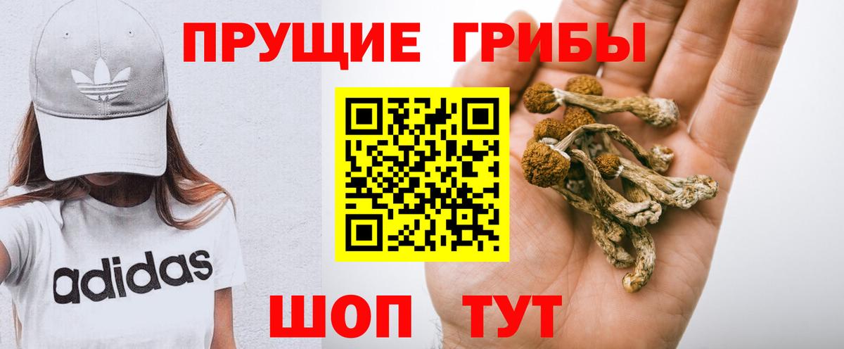 Псилоцибиновые грибы прущие грибы  Галлюциногенные грибы мицелий  Вход с VPN  Новотроицк 